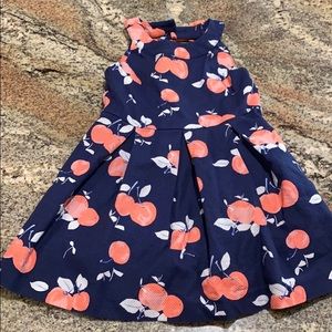 Janie and jack Apple dress size 2t